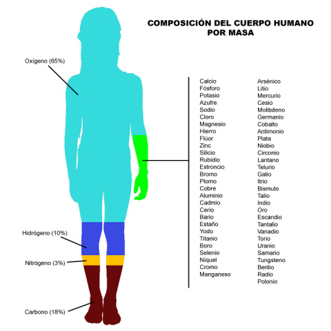 Composición química del ser humano, por masa