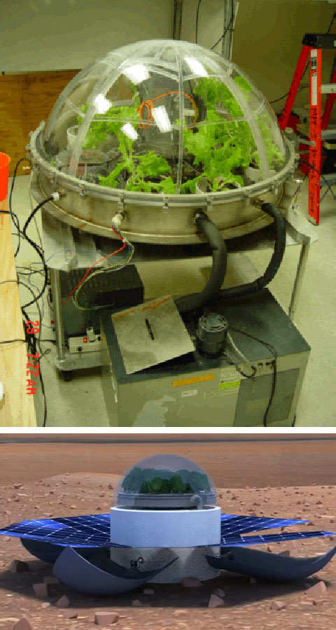 Experimento del NASA Mars Greenhouse para el cultivo de hortalizas en Marte y concepto Popeye on Mars.