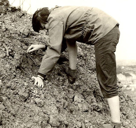 Una Tina Negus adolescente buscando fósiles cerca de su casa allá por la primera mitad de los años '50 del pasado siglo. Foto: Propiedad de Tina Negus vía trowelblazers.com Tina Negus buscando fósiles, cuando era adolescente.