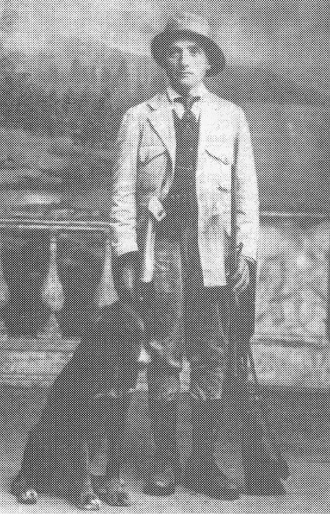 El maqui Gardarrios El maqui Gardarrios