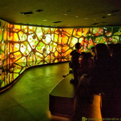  Gaudí Centre : © ARP