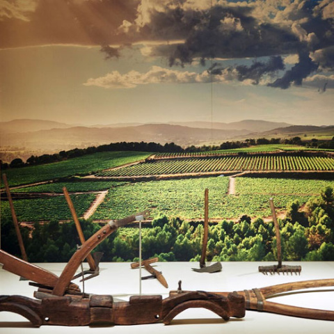  Vinseum : © Félix Lorenzo