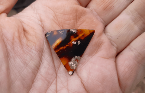 Púa de bandurria encontradas en el campo.- ALFREDO GONZÁLEZ RUIBAL Púa de bandurria encontradas en el campo.- ALFREDO GONZÁLEZ RUIBAL