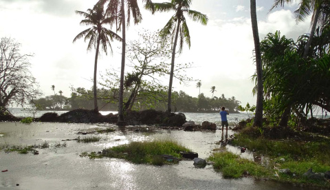 Un vecino de Majuro, en las islas Marshall, camina a través del agua.- HILARY HOSIA / AFP Un vecino de Majuro, en las islas Marshall, camina a través del agua.- HILARY HOSIA / AFP