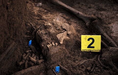  Entre la exhumación de 2021 y la realizada en marzo de 2022 se han recuperado un total de 37 cuerpos. Sin embargo, tras inspeccionar los límites de la excavación, se encontraron indicios de que la fosa continuaba y de que había más cuerpos