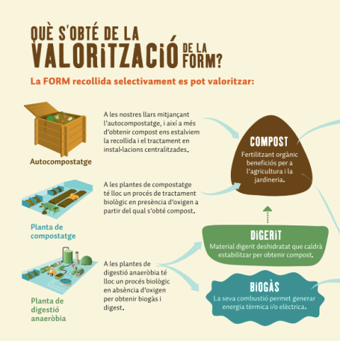 Tratamiento de la FORM. Generalitat de Catalunya Tratamiento de la FORM. Generalitat de Catalunya