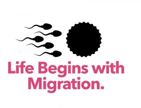  Life begins with Migration by @porcausaorg