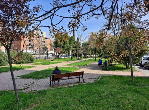 Este parque está en el punto de mira del alcalde Almeida para su tala y eliminación. 