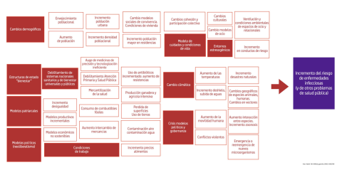 Imagen cedida por el autor.