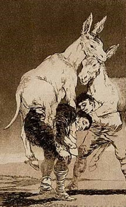 Goya. Dibujos. "Solo la voluntad me sobra"