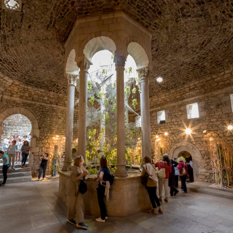 Imatge d'arxiu dels  Banya Àrabs de Girona en temps de flors Tots els drets reservats.Contacte: Toni Vilchestonivilches@tonivilches.com629 300 963GIRONA