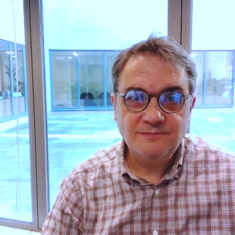 Captura de pantalla de l'entrevista en vídeo amb Carles Martí