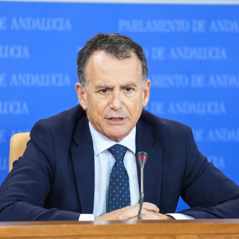 El portavoz adjunto del Grupo Parlamentario Popular en Andalucía, Pablo Venzal.