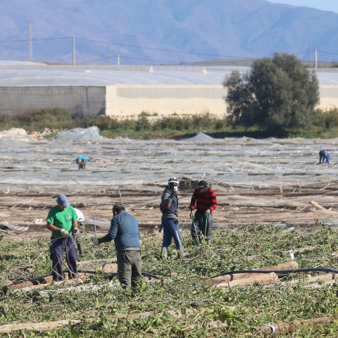 Fotografía de archivo de los invernaderos en Nijar (Almería).