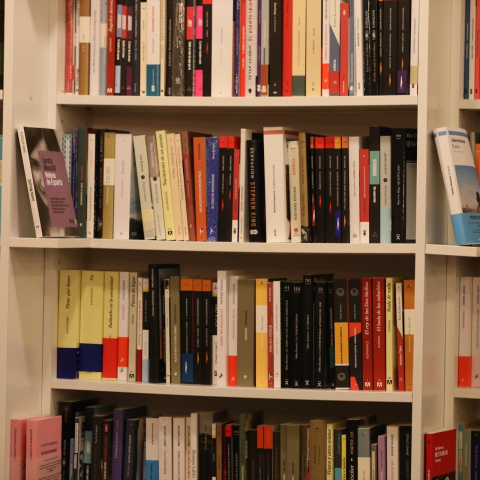 Libros colocados en una estantería de la librería 'Tipos Infames' en Madrid.