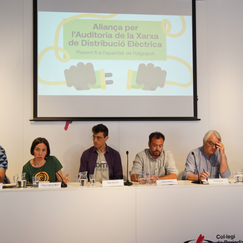Un moment de l'acte de presentació de l’Aliança per l'Auditoria de la Distribució Elèctrica
