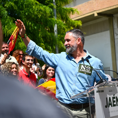 Santiago Abascal, este viernes, en Jaén.