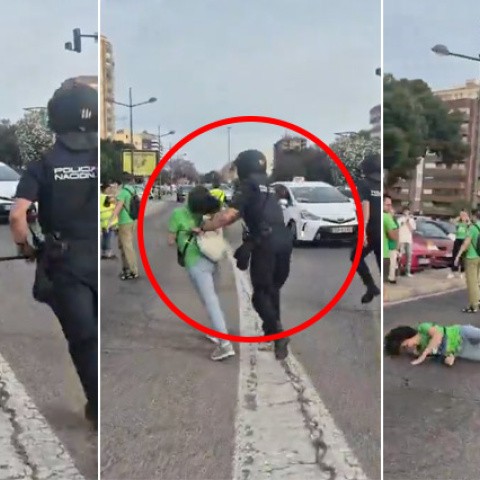 El vídeo que se está moviendo en las redes del violento derribo de un policía a una docente en València.