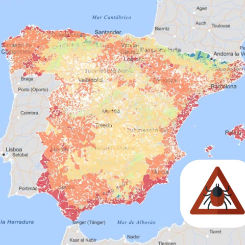 Reparto de la garrapata Rhipicephalus en España. Reparto de la garrapata Rhipicephalus en España.