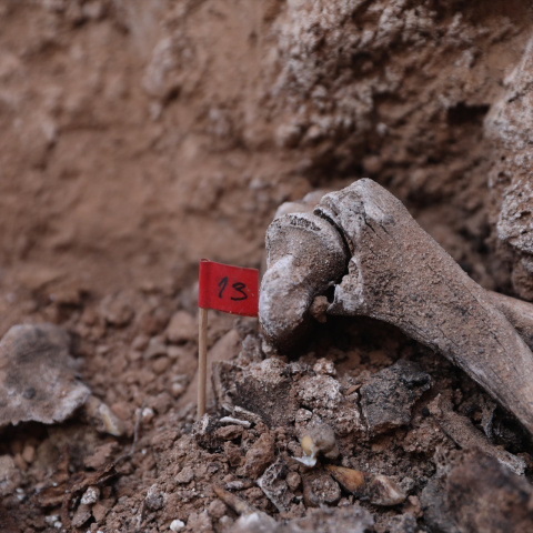 Imagen de archivo de varios huesos encontrados durante la excavación de una fosa de la guerra civil en el cementerio de Belchite.