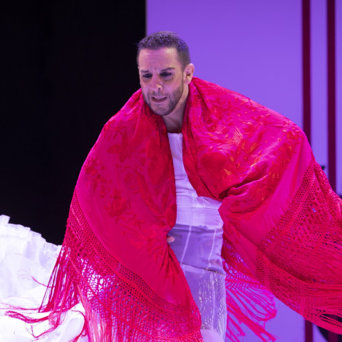 El bailaor Manuel Liñán, en Llámame Lorca.