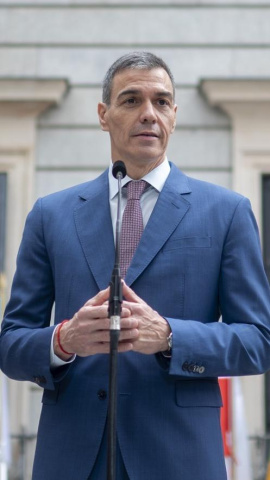 Pedro Sánchez, durante el acto en el Congreso de los Diputados, este sábado.