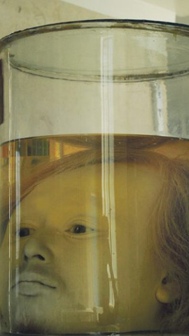 La cabeza de Diogo Alves conservada en formol en la facultad de Medicina de Lisboa. La cabeza de Diogo Alves conservada en formol en la facultad de Medicina de Lisboa.