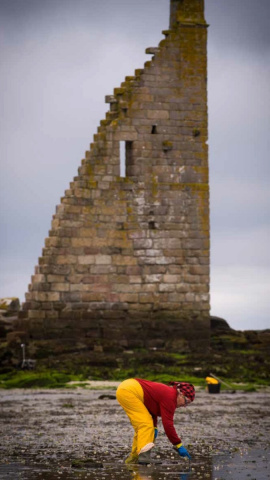 Fotos de Miguel Riopa