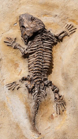 Imagen de archivo / Pixabay