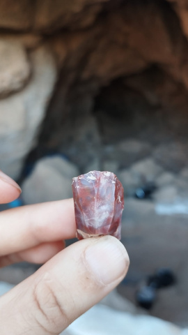 Ornament trobat durant l'excavació Ornament trobat durant l'excavació