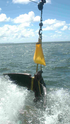 Extracción de la escultura de bronce en el Río de la Plata. Extracción de la escultura de bronce en el Río de la Plata.
