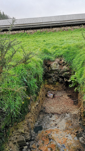 Vertidos en el exterior de una granja de visones en Galicia. Vertidos en el exterior de una granja de visones en Galicia.