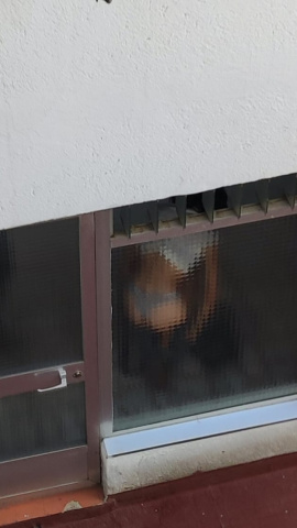 Una mujer se cambia de ripa interior en la puerta de un narcopiso en el distrito de Villaverde, Madrid. Una mujer se cambia de ripa interior en la puerta de un narcopiso en el distrito de Villaverde, Madrid.