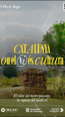 DO Pla de Bages DO Pla de Bages