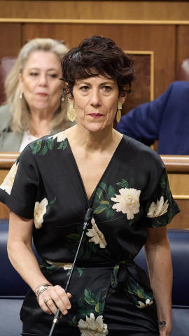 La ministra de Inclusión, Seguridad Social y Migraciones, Elma Saiz, en el Congreso, en una imagen de archivo.