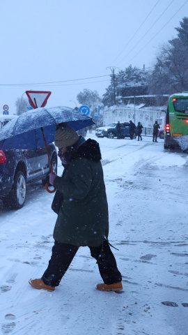 Vista de las calles de Torrelodones, Madrid cubiertas de nieve.