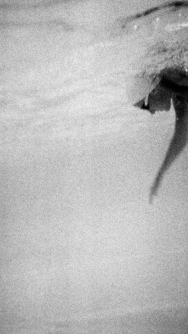 Imagen de la serie 'Nadar?, de Vari Caramés. Imagen de la serie 'Nadar?, de Vari Caramés.
