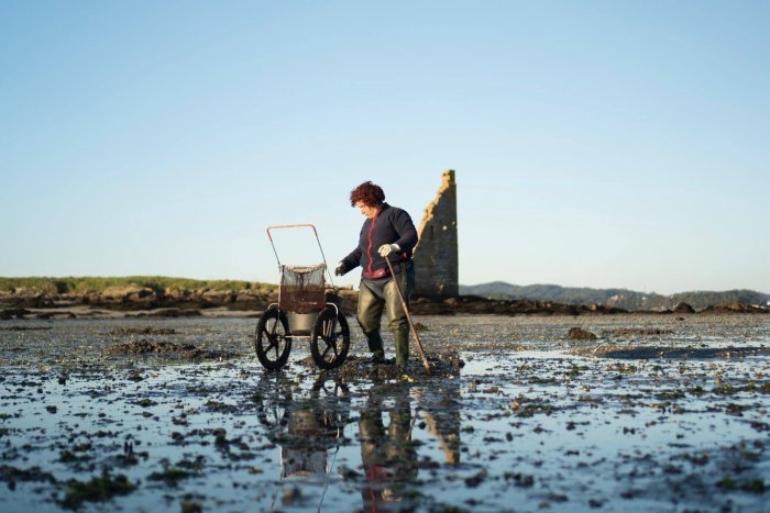 El mar, para ellos: solo el 8% de las afiliaciones en pesca marítima en Galicia son de mujeres