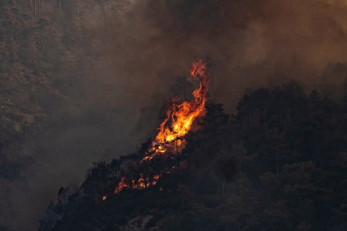 El Gobierno aprueba el Plan de Lucha contra los incendios forestales