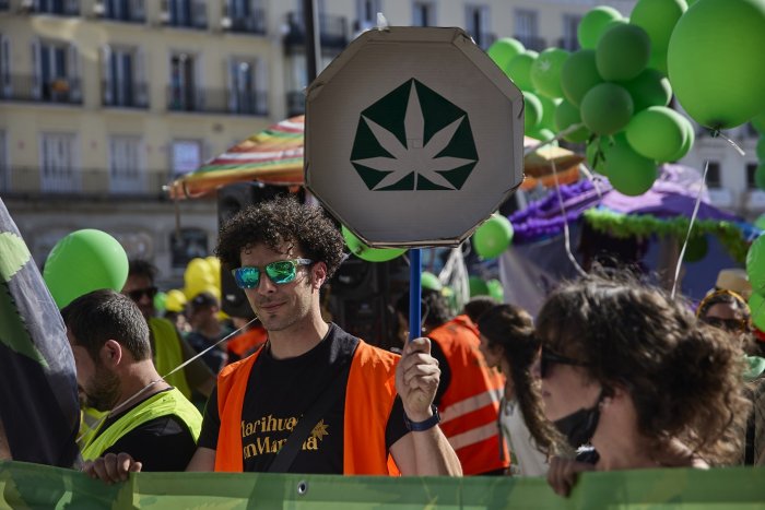El Congreso avala la regulación del cannabis medicinal y abre la puerta a su dispensación en farmacias