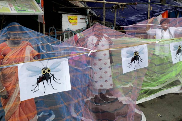 Dengue y factores socioculturales: los claroscuros para conseguir vacunas ante una amenaza mundial