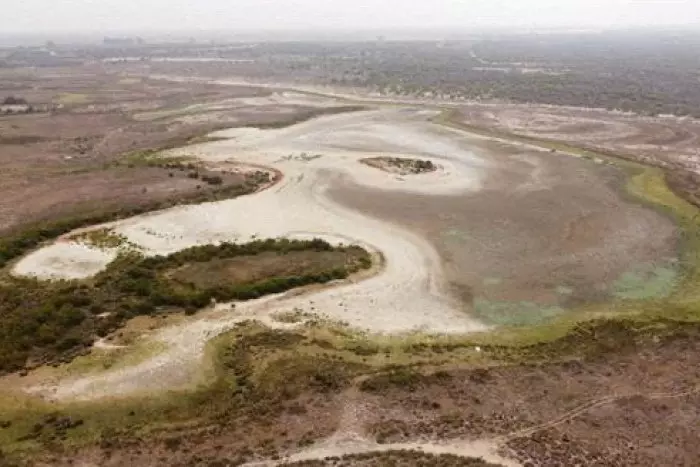 Solo 36 explotaciones se llevan más de un tercio del agua de uso legal en el entorno de Doñana