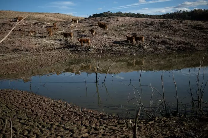 Catalunya extrema el ahorro de agua: todas las claves sobre la situación de preemergencia por sequía