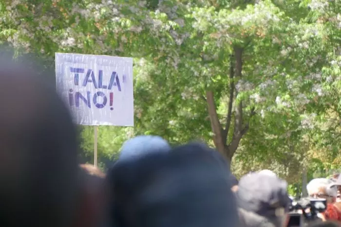 Investigan a los gobiernos de Almeida y Ayuso por la tala de árboles centenarios en Madrid