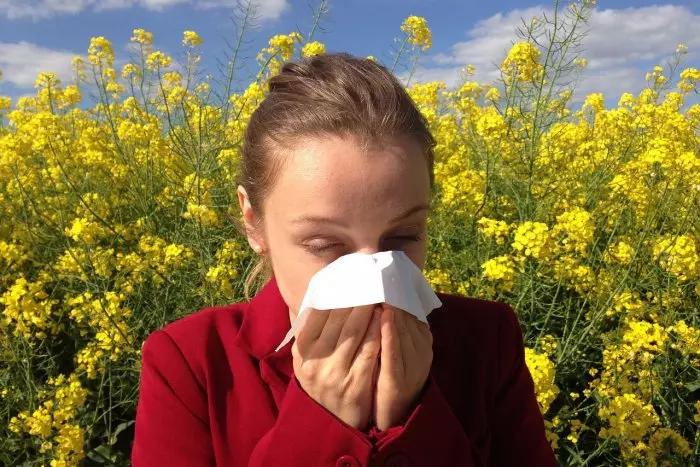 Esta primavera las alergias durarán más tiempo y se dispararán las enfermedades respiratorias y el asma