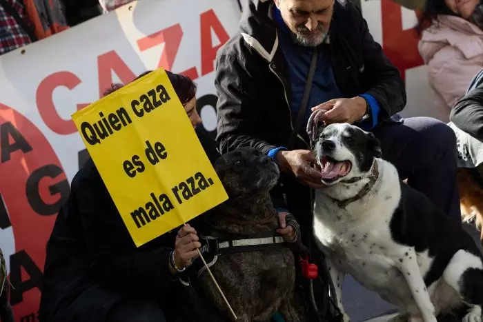 Delitos, penas y maltrato animal: un año de "claroscuros" tras la reforma del Código Penal