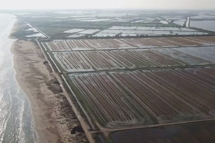 “Si comencem a actuar ja, podem mantenir gran part del Delta de l’Ebre en bon estat”