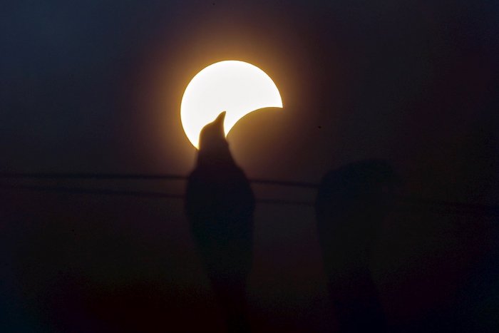 Así se vio el eclipse solar desde la India