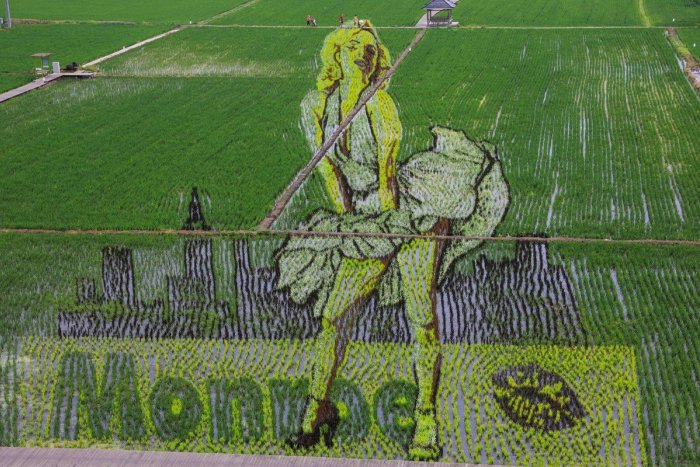 Una enorme Marilyn de arroz en China