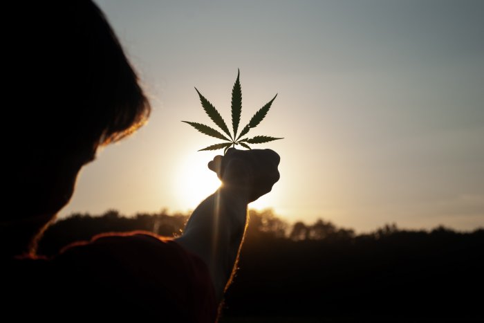 Cómo consumir cannabis sin fumar